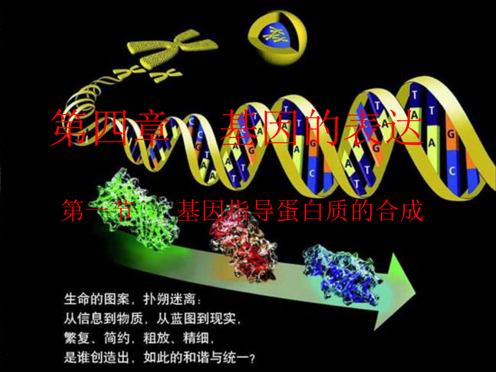 基因指导蛋白质的合成讲课版ppt课件