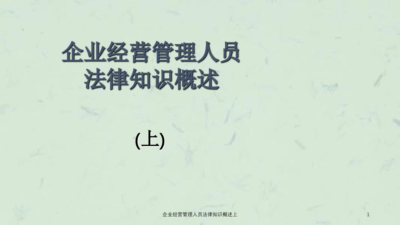 企业经营管理人员法律知识概述上课件