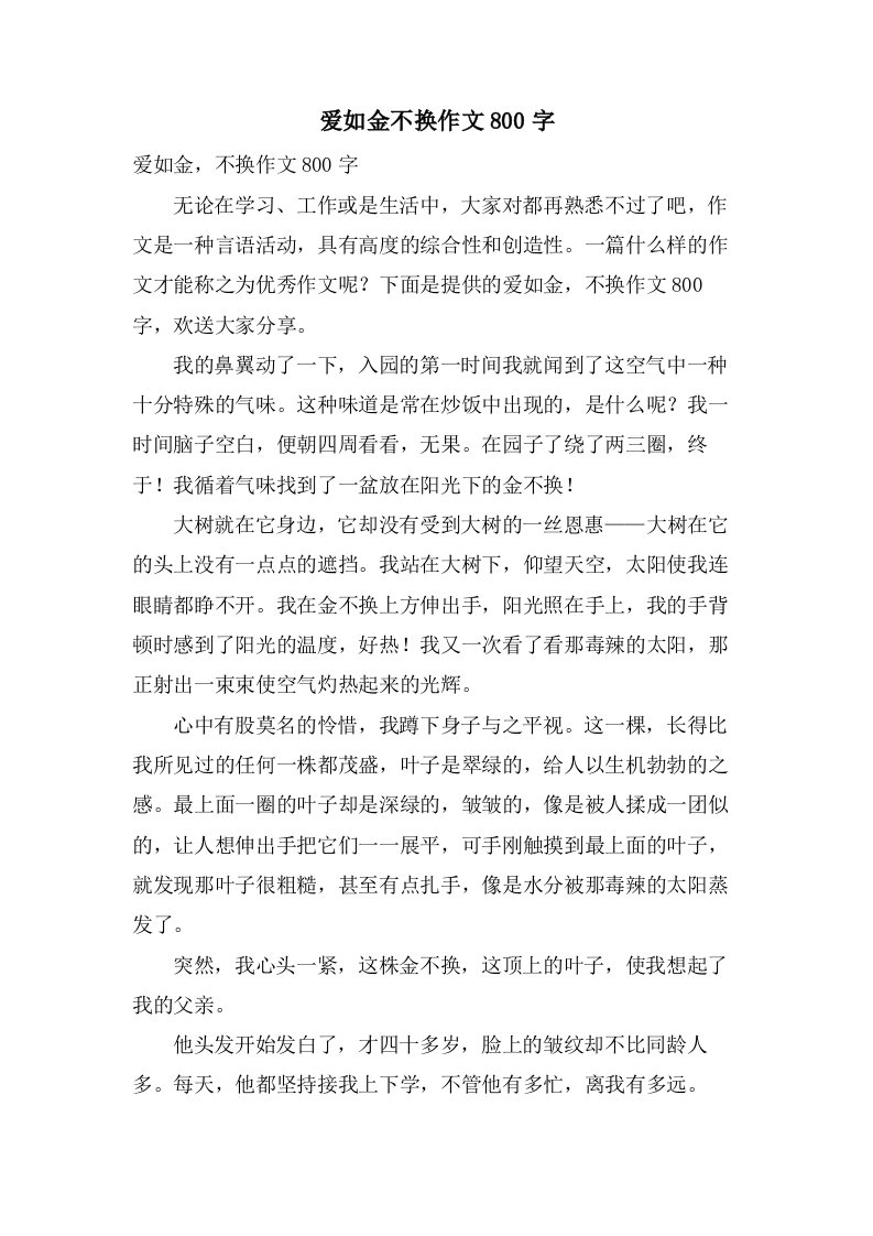 爱如金不换作文800字