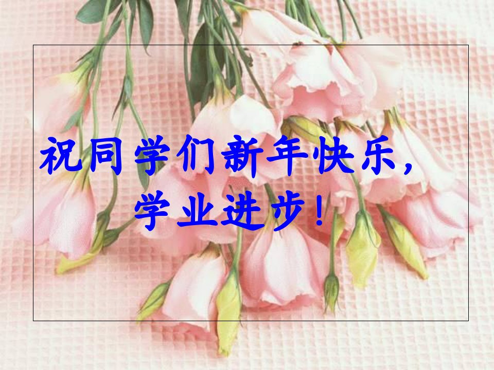 明代文学讲稿ppt课件