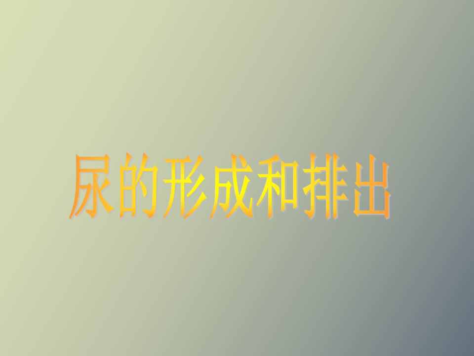 尿的形成与排出