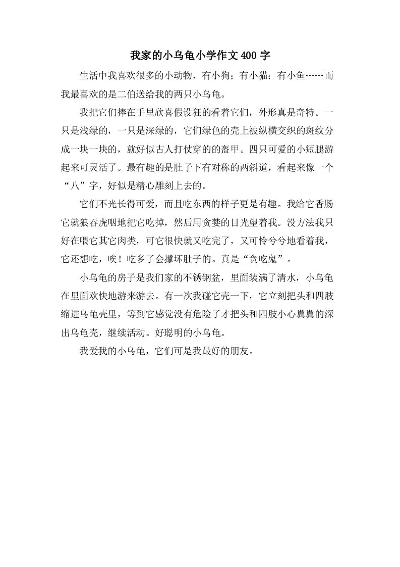 我家的小乌龟小学作文400字