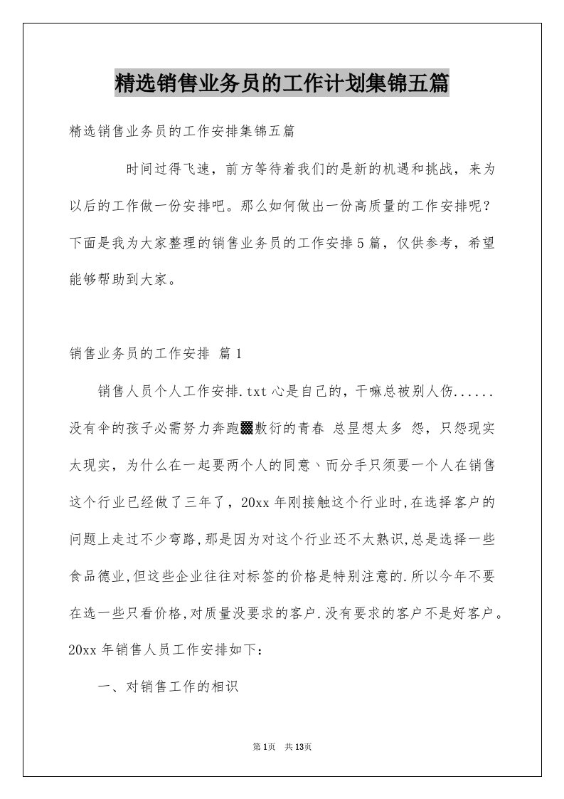 销售业务员的工作计划集锦五篇