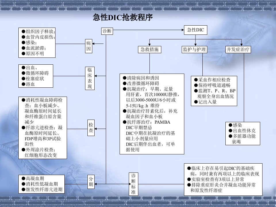 《常见急救抢救预案》PPT课件