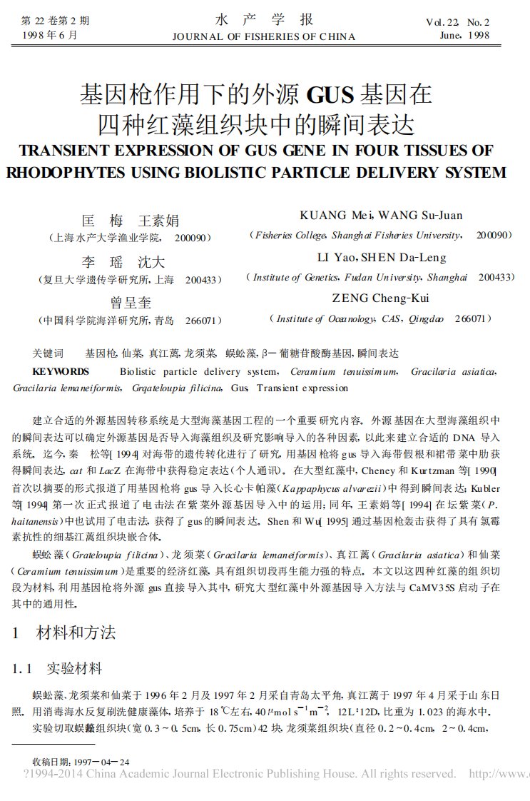 基因枪作用下的外源gus基因在四种红藻组织块中的瞬间表达