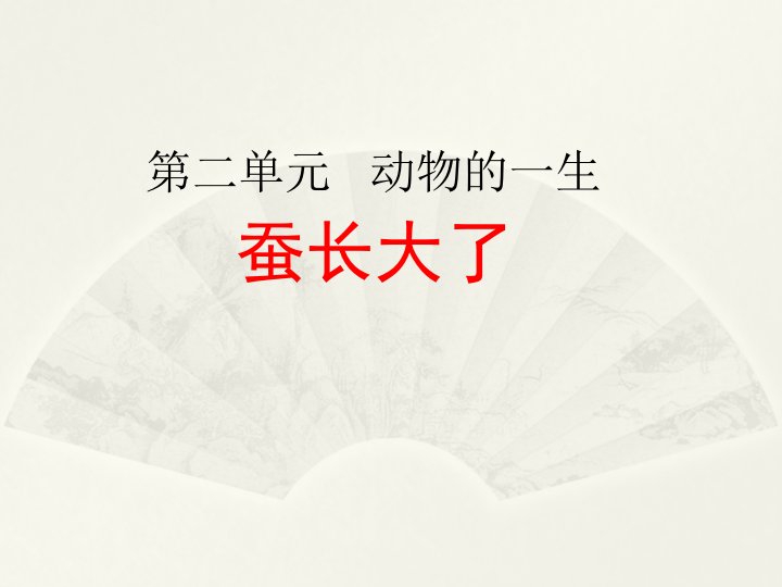 2020教科版小学科学三年级下册《蚕长大了》课件