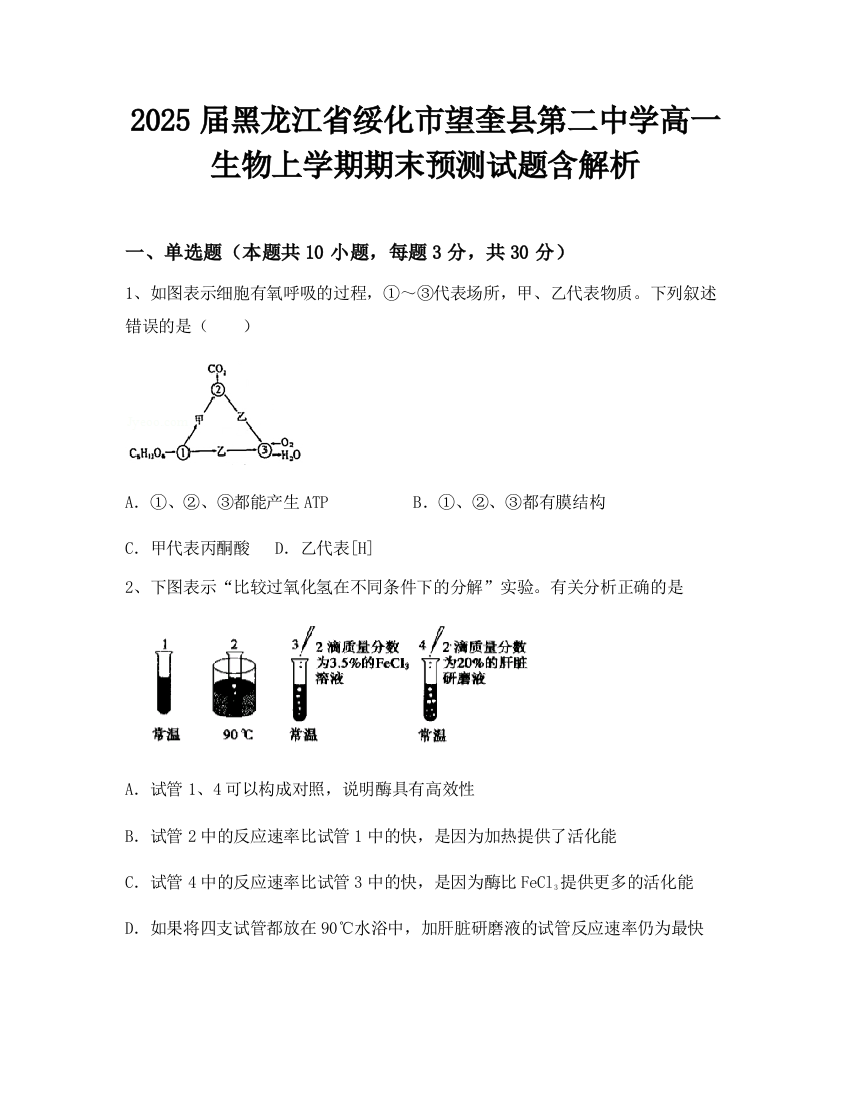 2025届黑龙江省绥化市望奎县第二中学高一生物上学期期末预测试题含解析