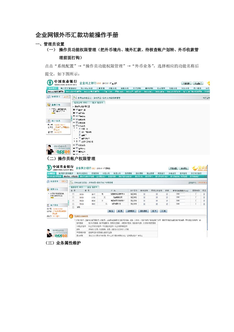 农行企业网银外币汇款功能客户端操作手册