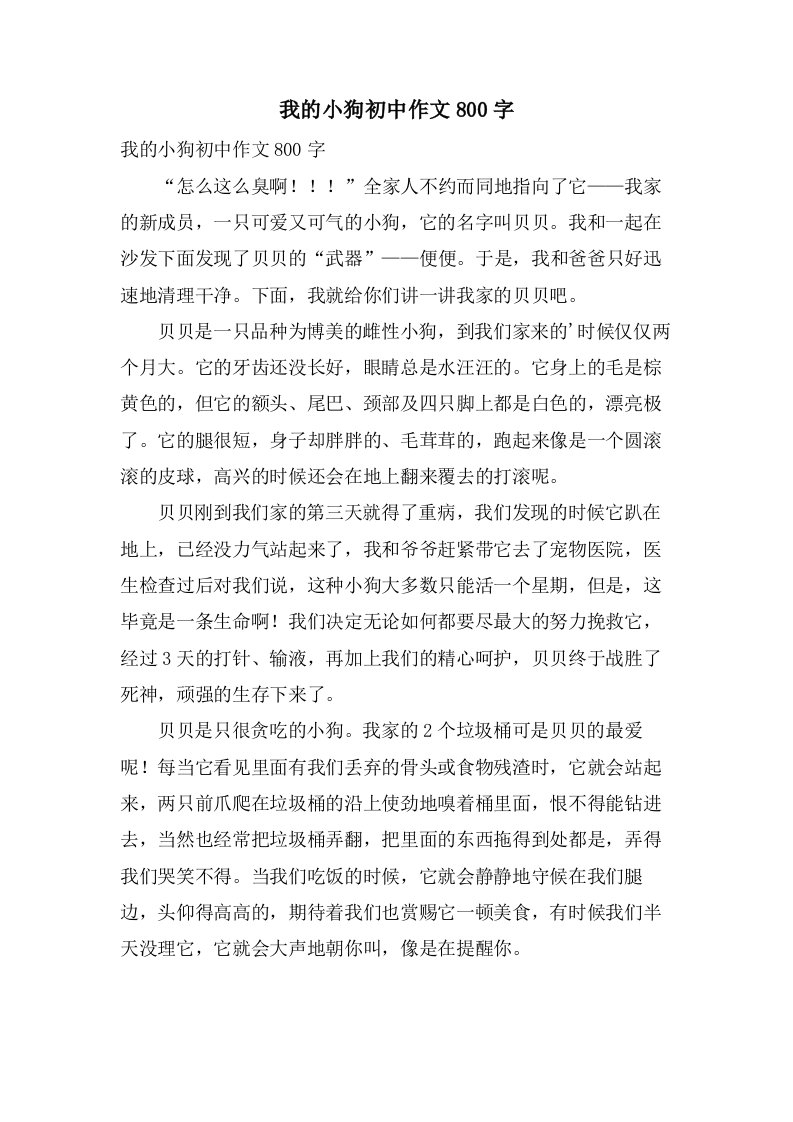 我的小狗初中作文800字