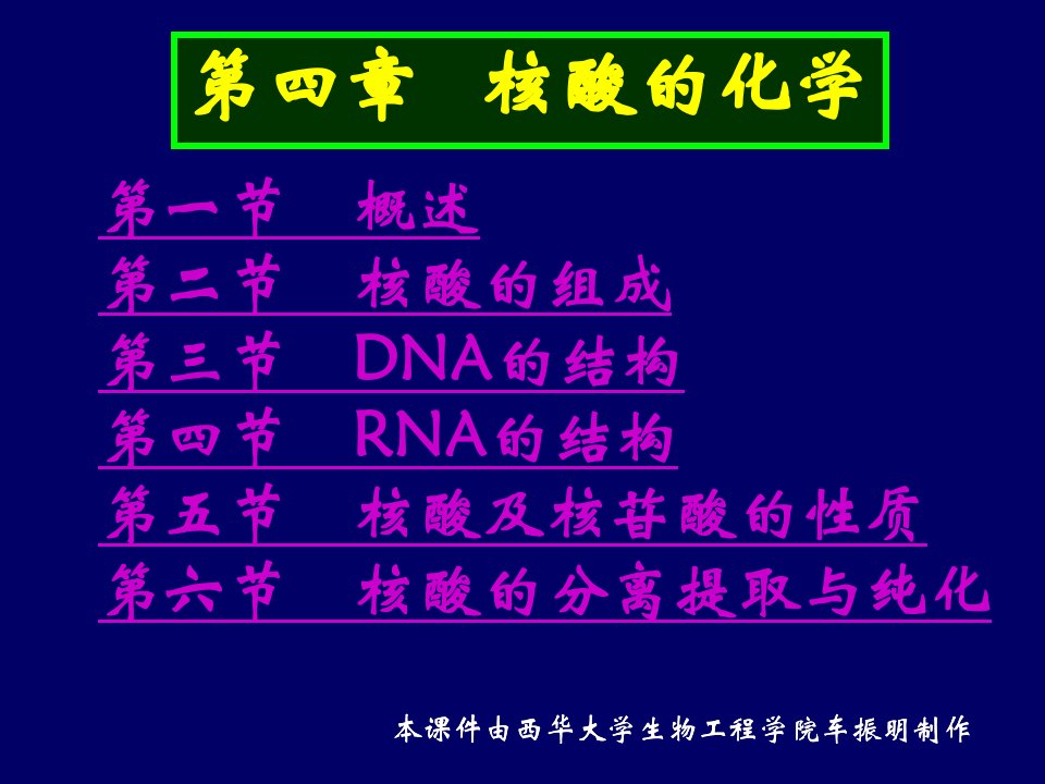 《核酸的化学》PPT课件