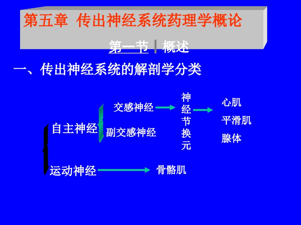 第五章传出神经系统药理学概论