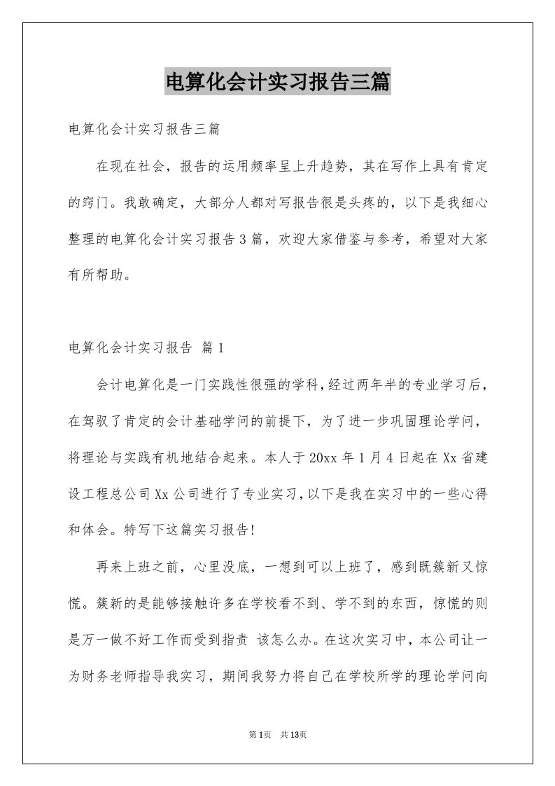 电算化会计实习报告三篇例文