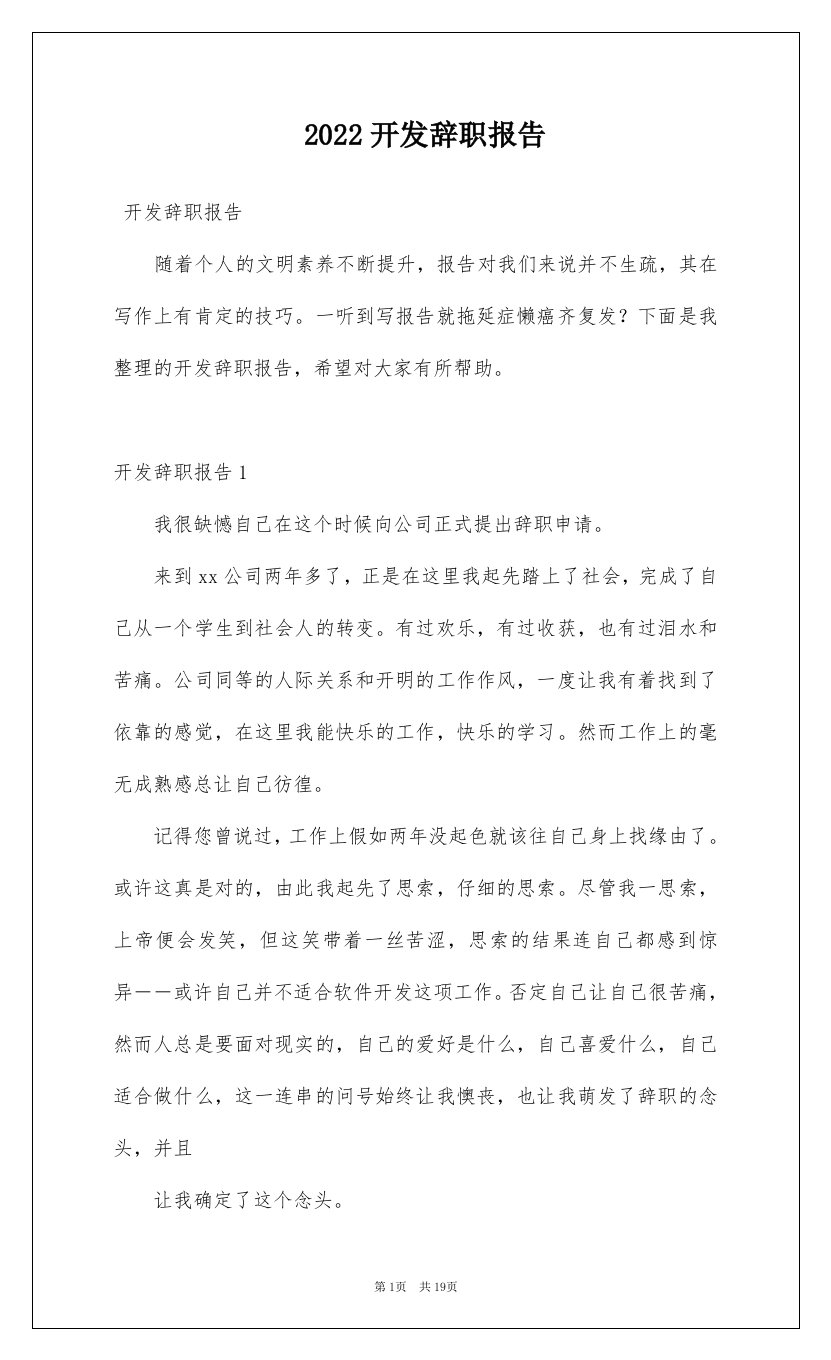 2022开发辞职报告