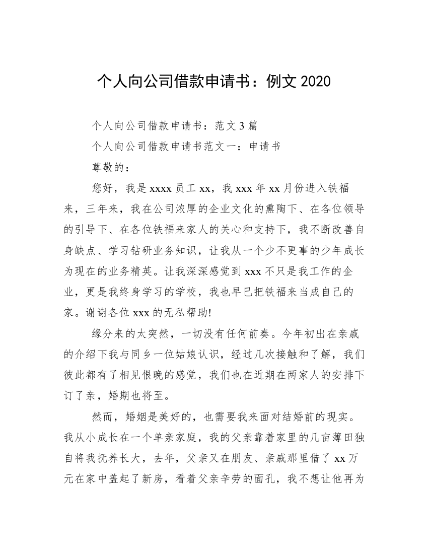 个人向公司借款申请书：例文2020