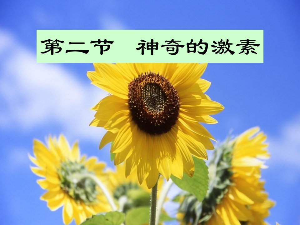 八年级科学上册第3章生命活动的调节3.2神奇的激素课件2浙教版