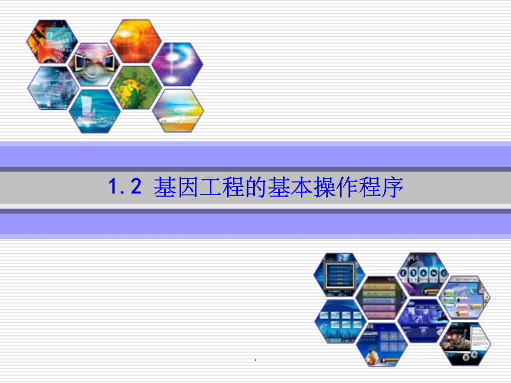 基因工程的基本操作步骤4PPT课件