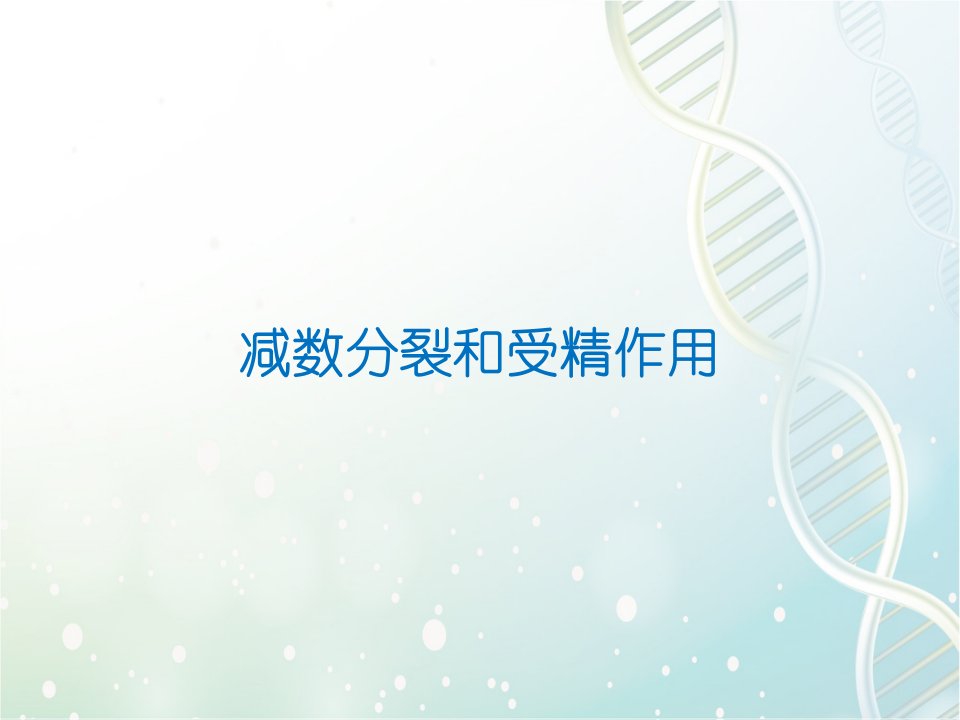 高三生物一轮复习优质ppt课件3：减数分裂和受精作用