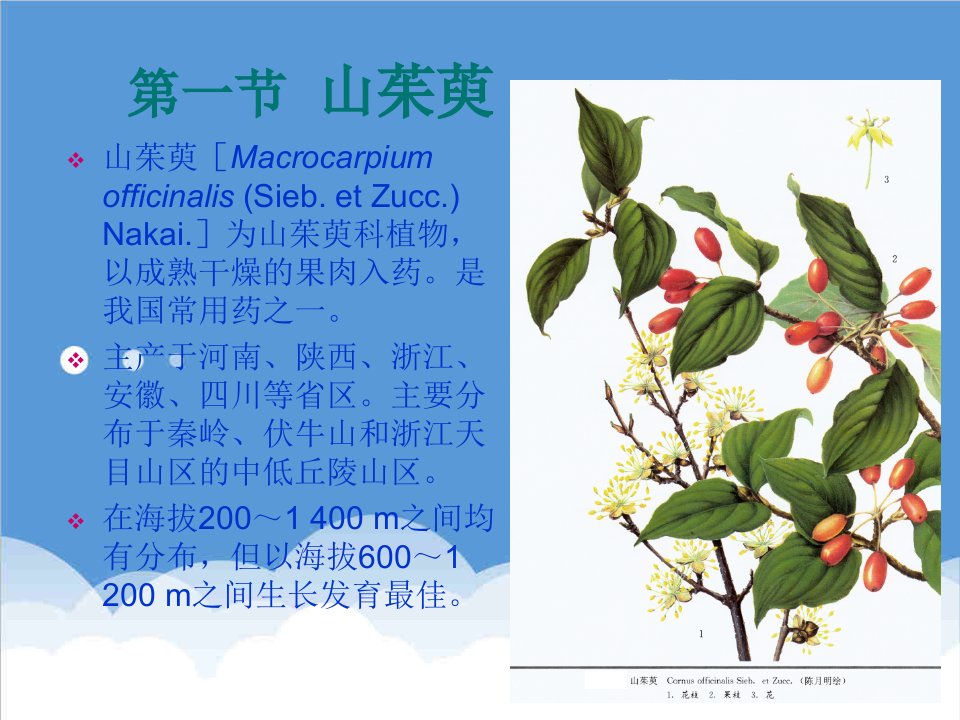 医疗行业-药用植物栽培学山茱萸栽培技术