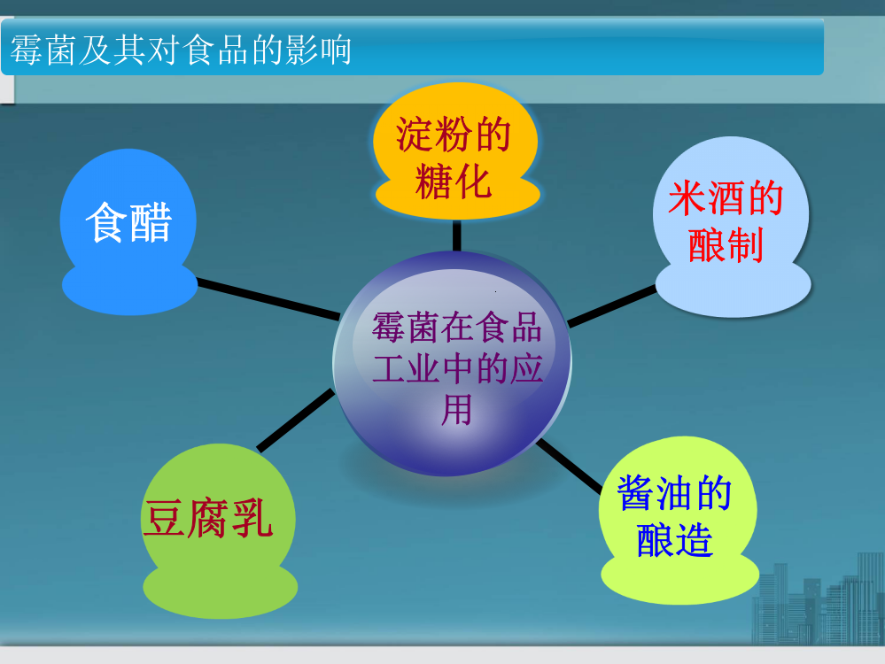 霉菌在食品科学和生物环境中的应用