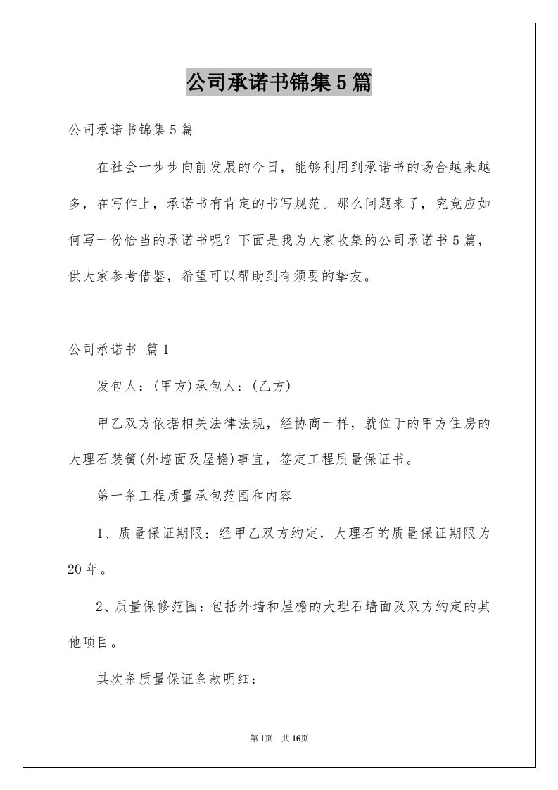 公司承诺书锦集5篇例文