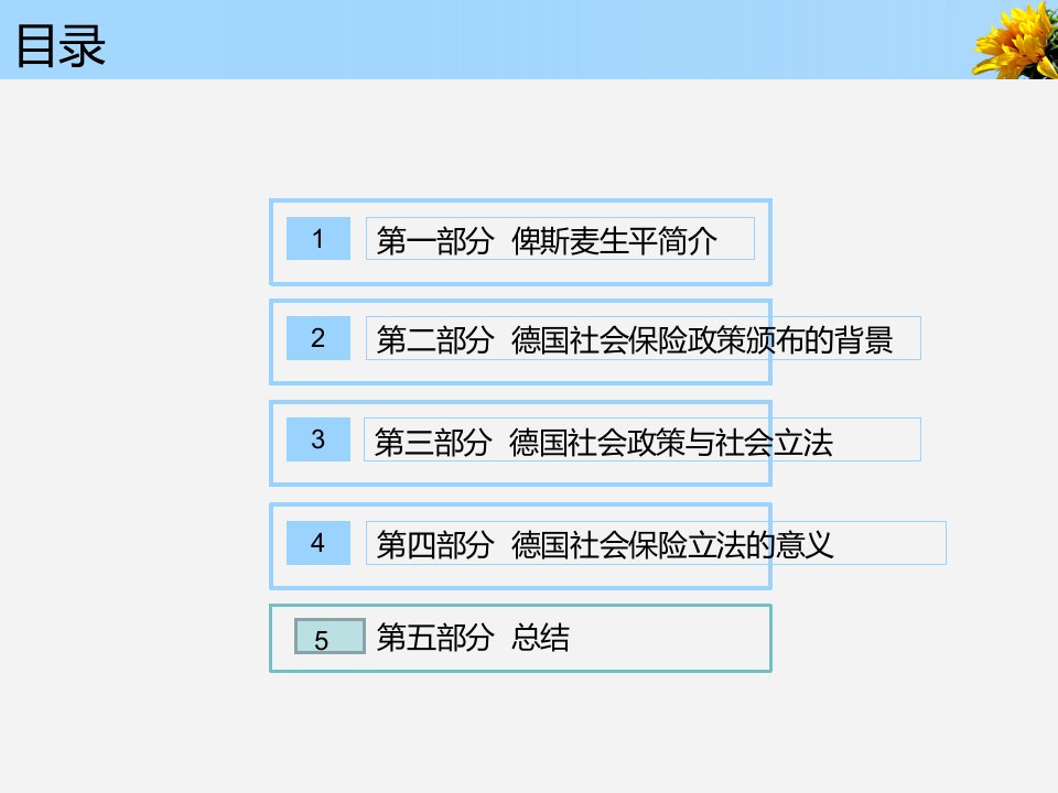 德国社会保险政策课件