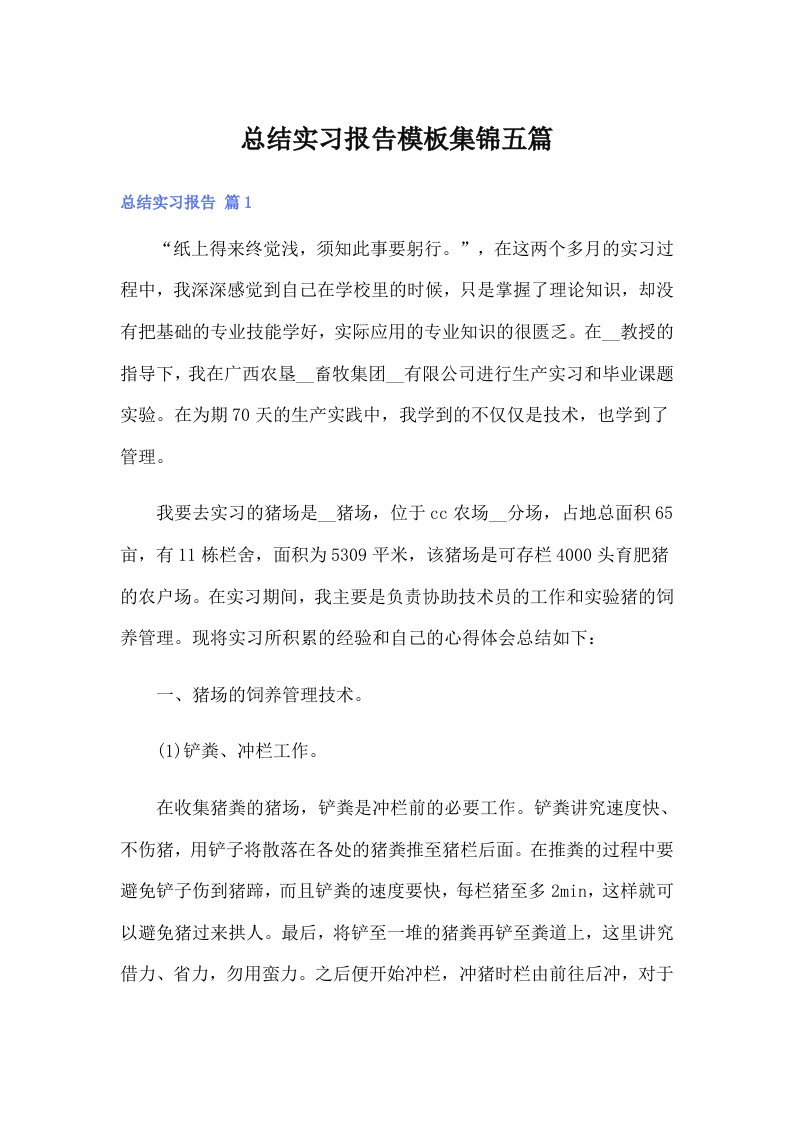 总结实习报告模板集锦五篇（精选）