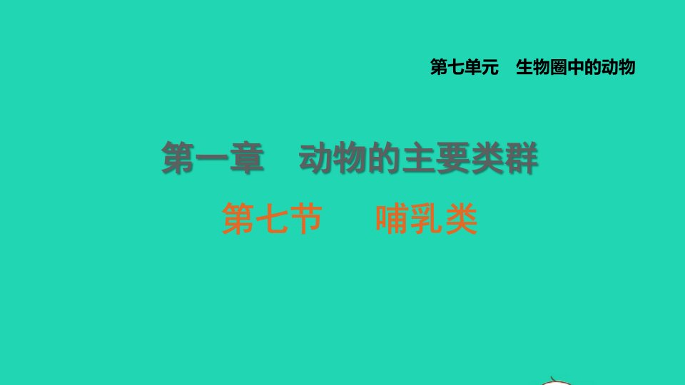 2021秋八年级生物上册第七单元生物圈中的动物第一章动物的主要类群第7节哺乳类课件鲁科版五四制