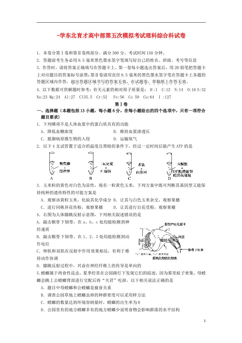 辽宁省东北育才学校高三理综下学期第五次模拟考试试题