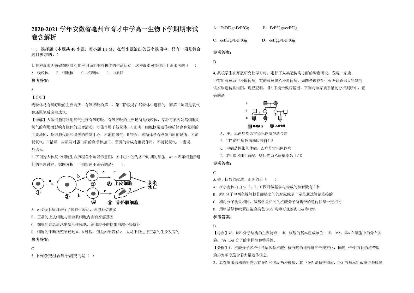 2020-2021学年安徽省亳州市育才中学高一生物下学期期末试卷含解析