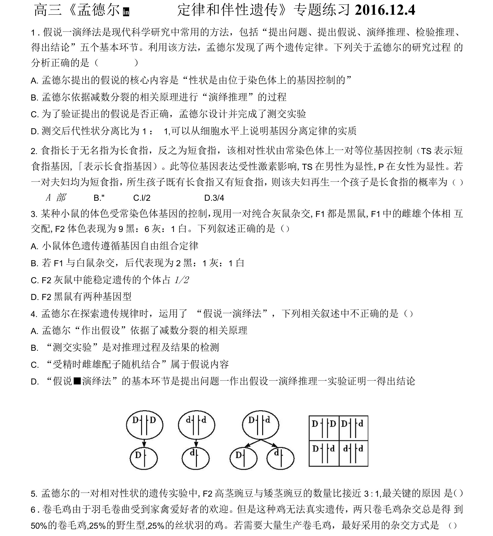 遗传规律和伴性遗传专题辅导