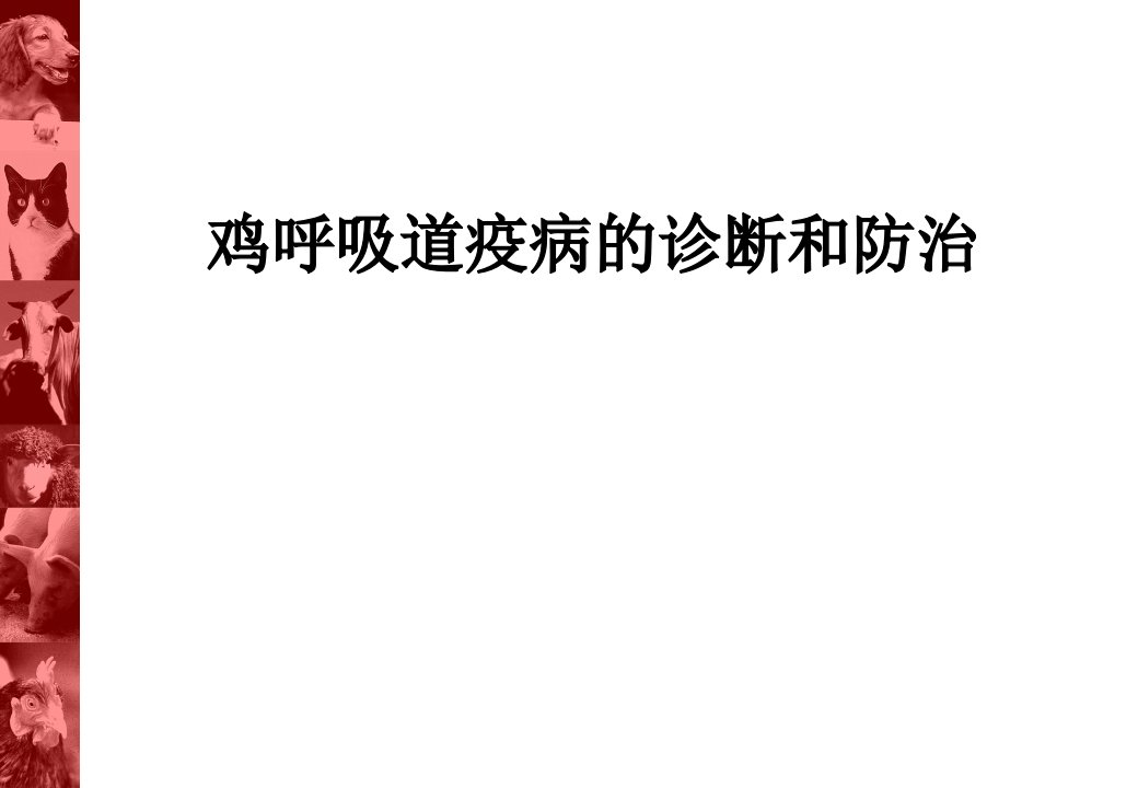 鸡呼吸道疫病的诊断和防治