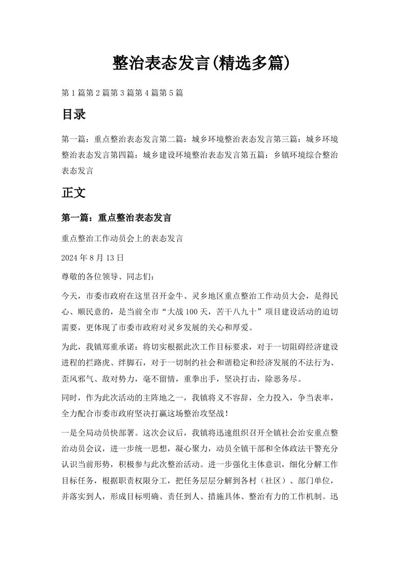 整治表态发言精选多篇