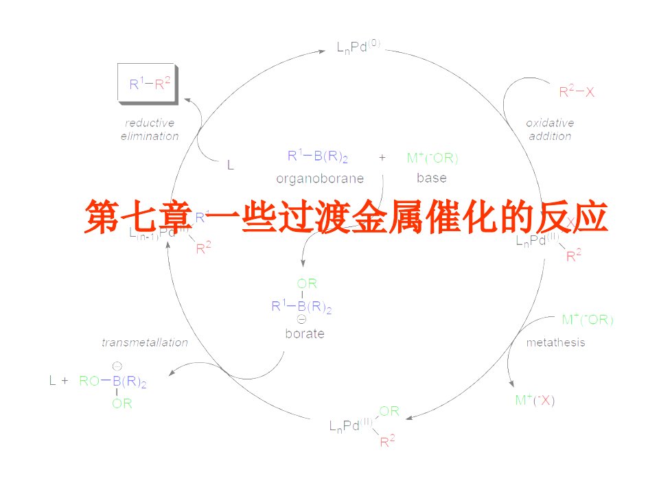 过渡金属催化的反应