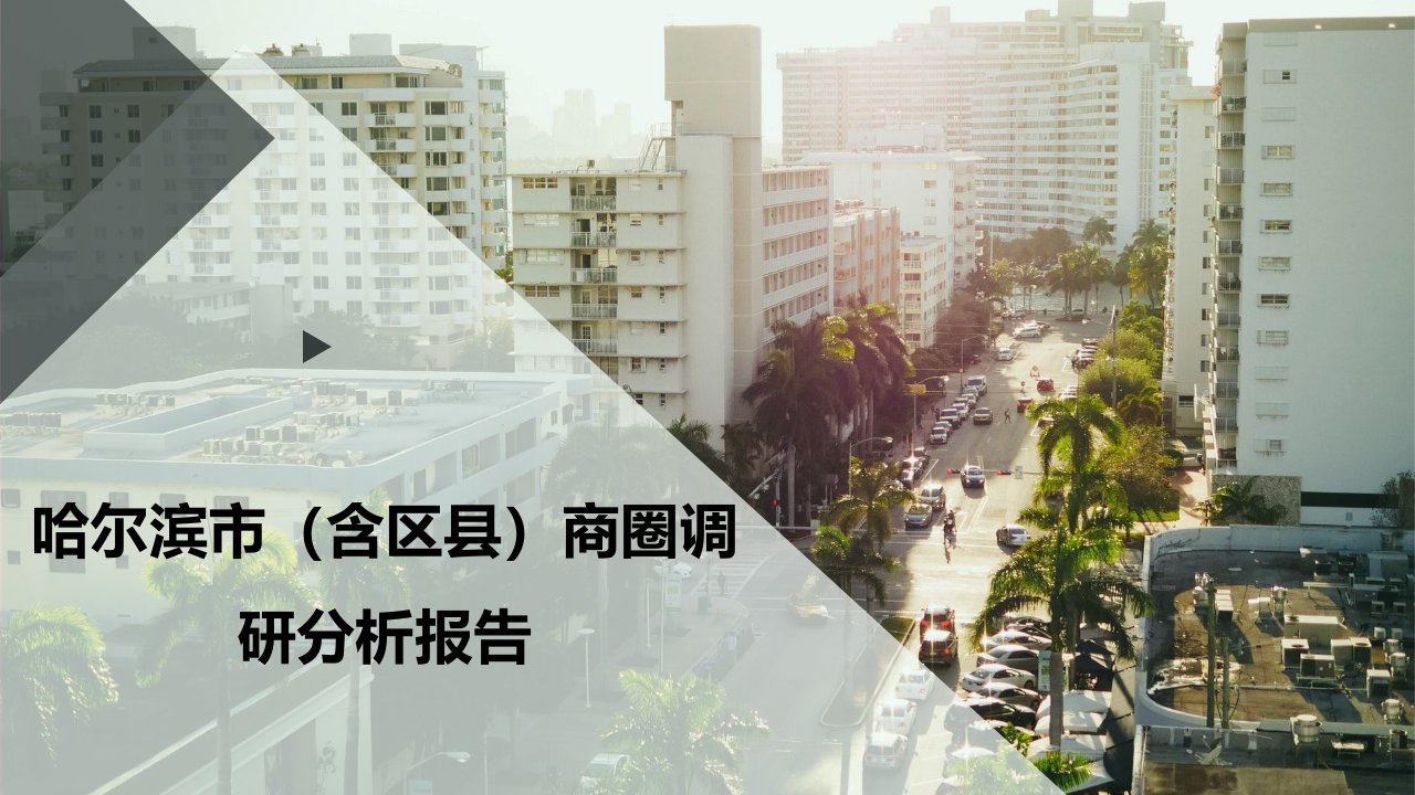 哈尔滨市(含区县)商圈调研分析报告课件