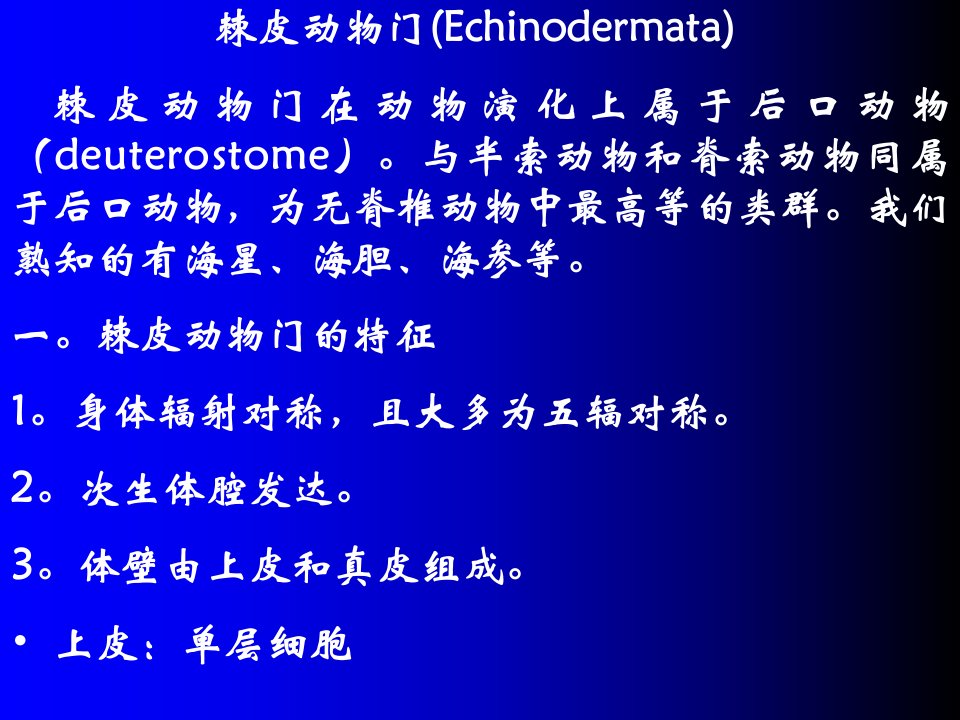 棘皮动物门(Echinodermata)