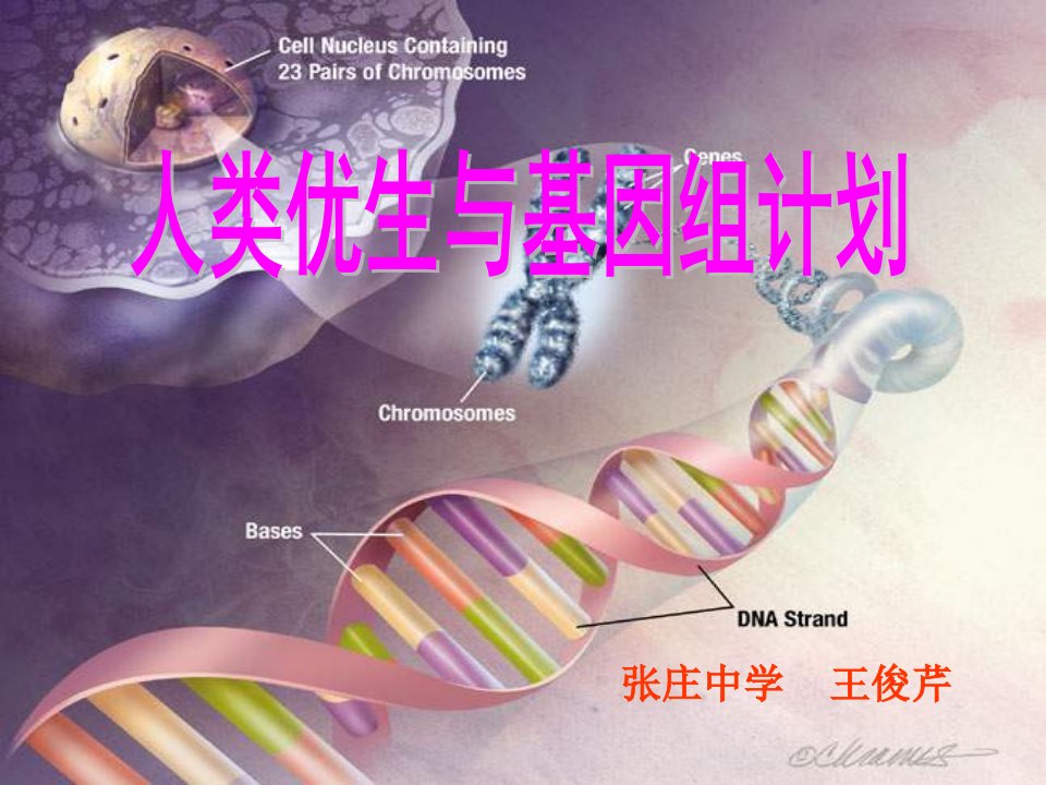 八年级生物用人类优生与基因组计划课件