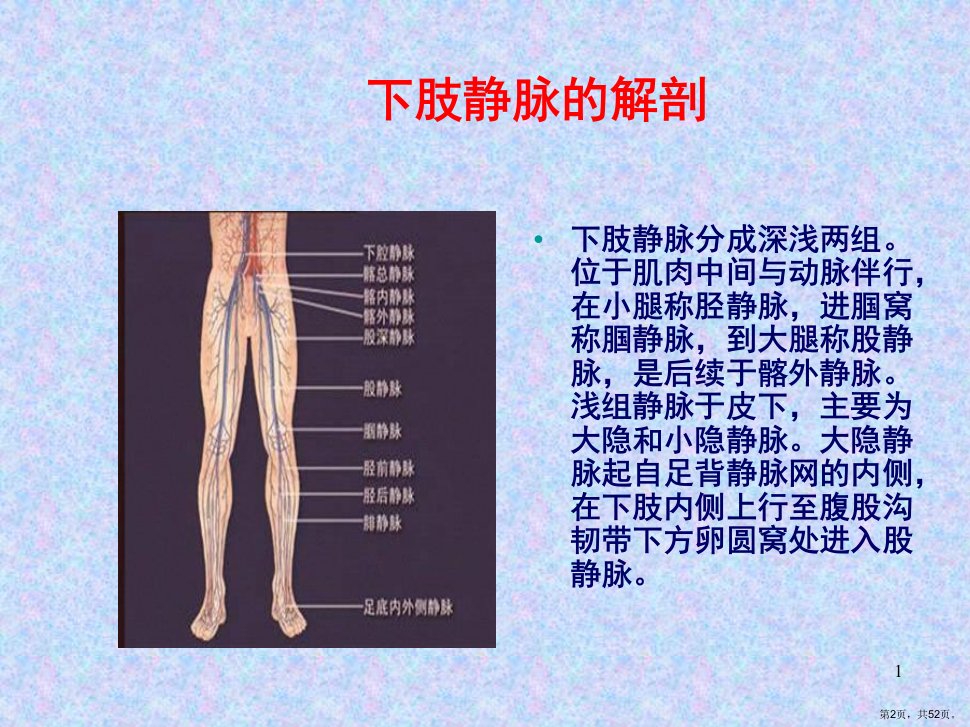 下肢深静脉血栓的诊断与治疗进展PPT课件PPT52页