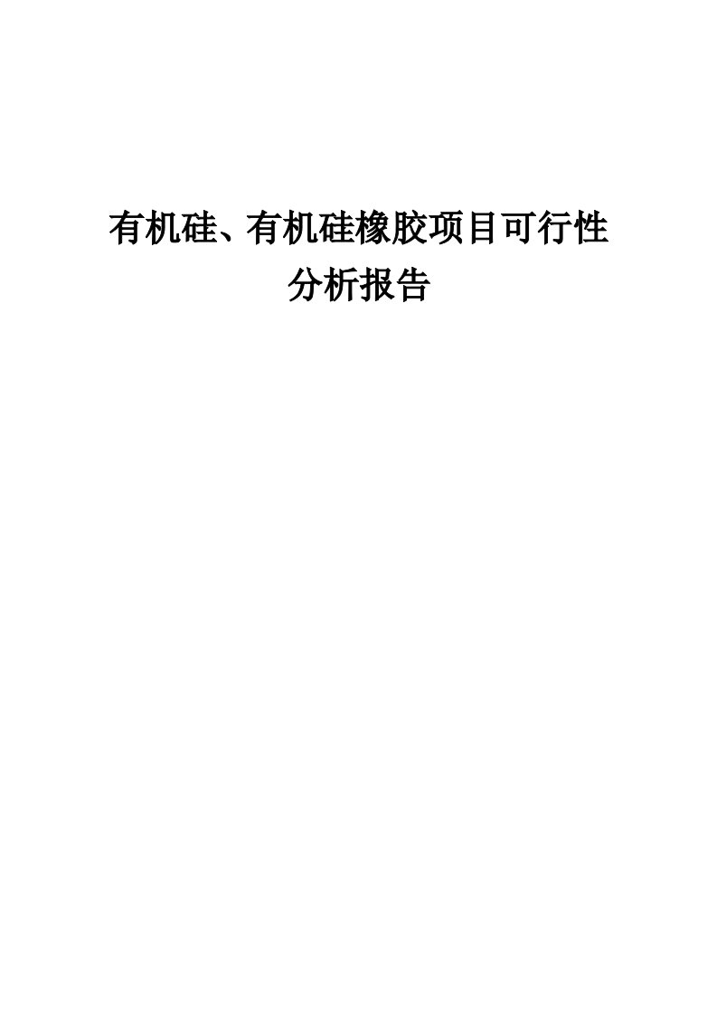 2024年有机硅、有机硅橡胶项目可行性分析报告