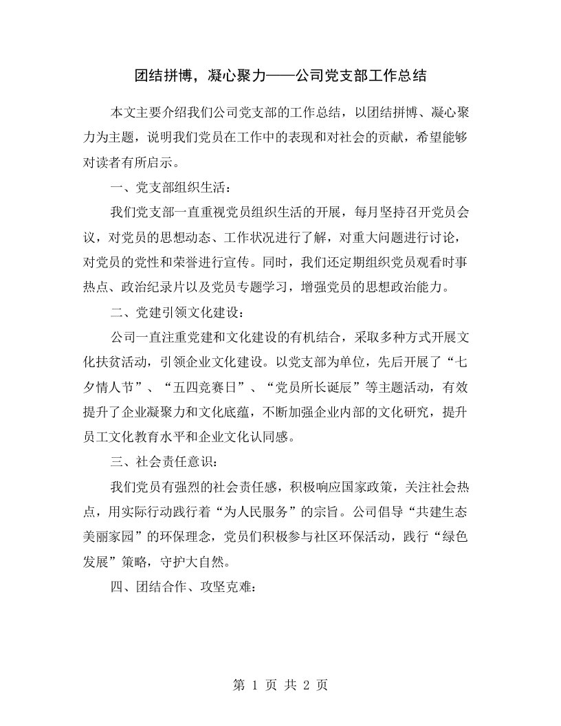 团结拼博，凝心聚力——公司党支部工作总结