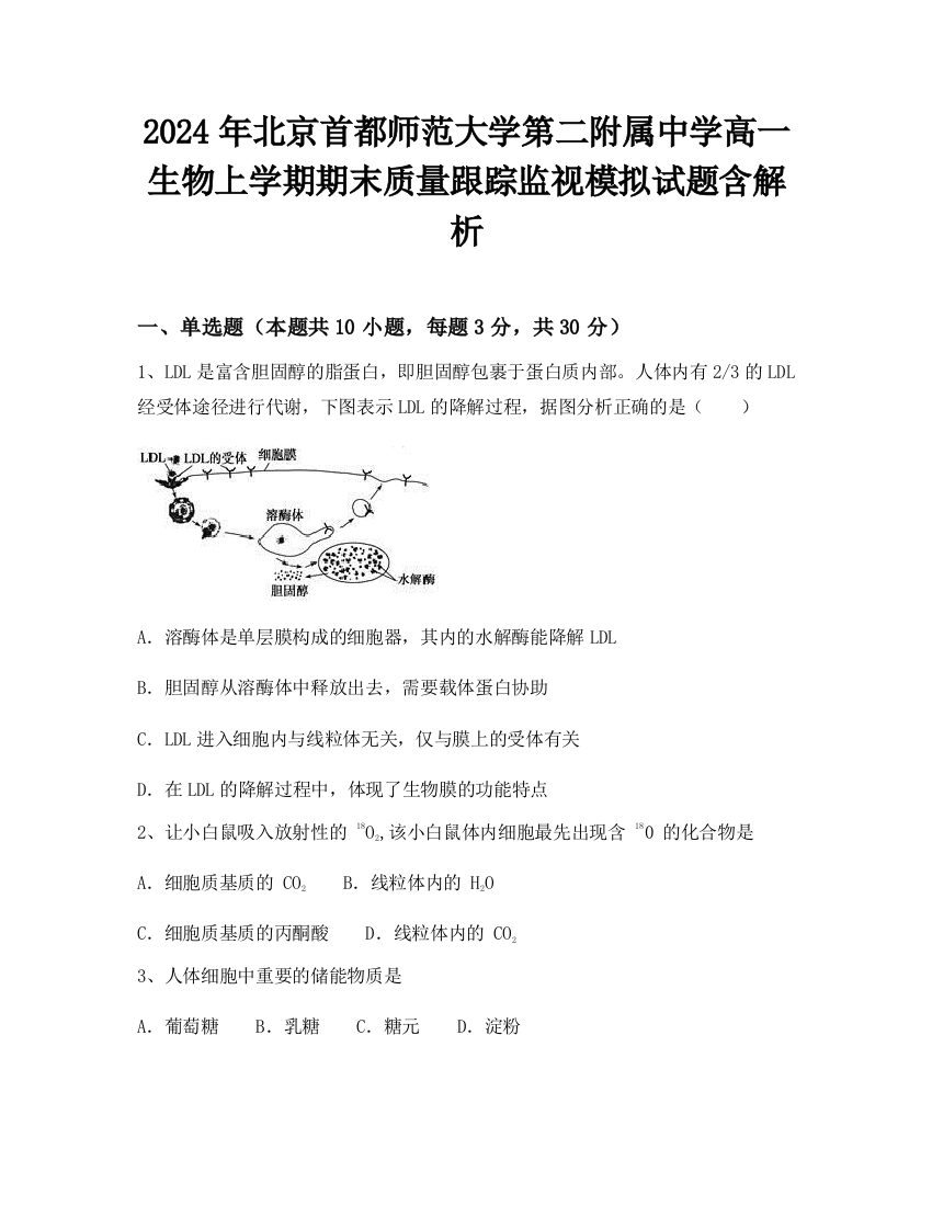 2024年北京首都师范大学第二附属中学高一生物上学期期末质量跟踪监视模拟试题含解析