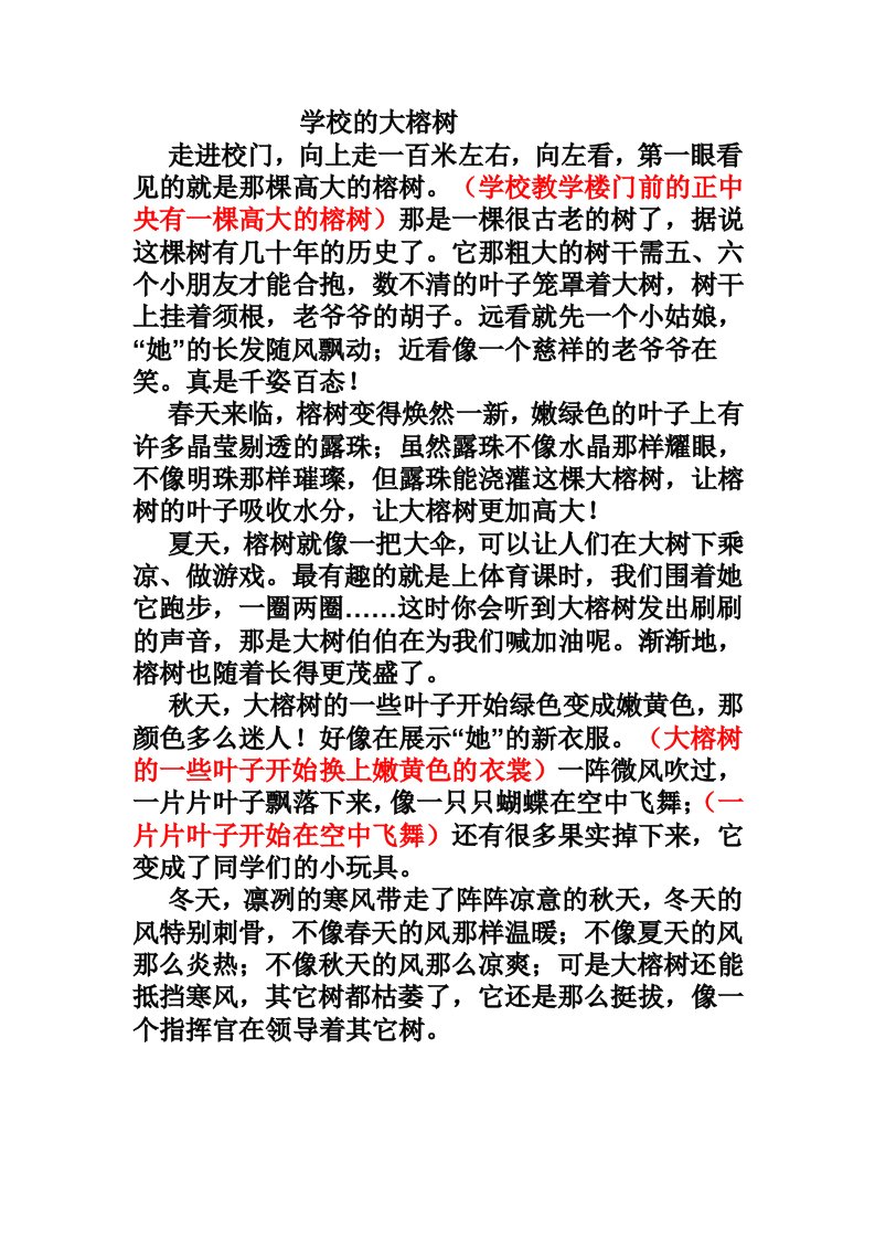 学校的大榕树