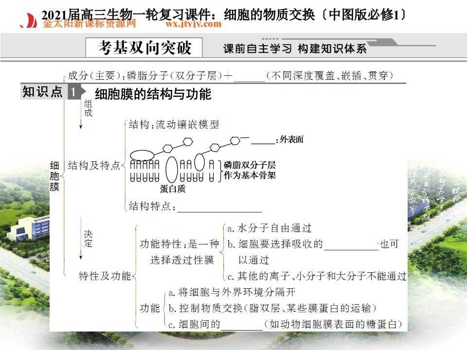 高三生物一轮复习课件细胞的物质交换中图版必修1.ashx