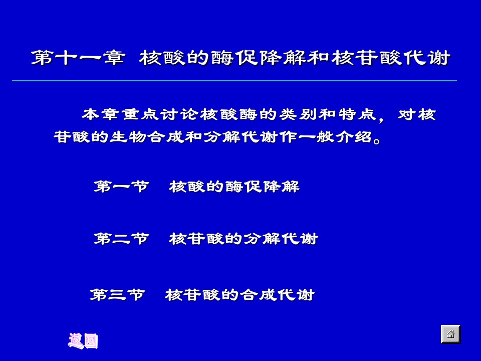 生物化学合工大第十二章核酸的酶促降解和核苷酸代谢