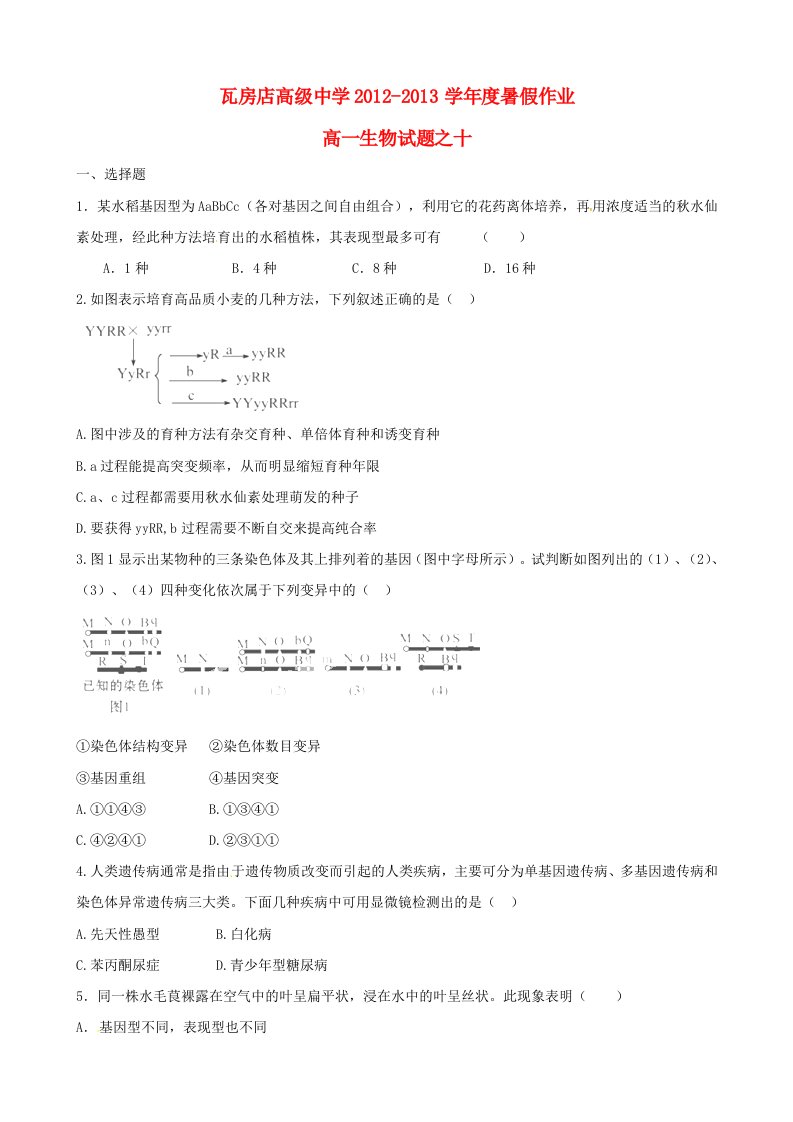 辽宁省瓦房店市高级中学2012-2013学年高一生物暑假作业（10）新人教版