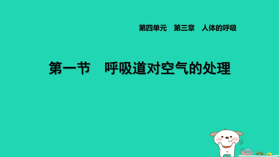 2024七年级生物下册第四单元生物圈中的人第三章人体的呼吸第一节呼吸道对空气的处理习题课件新版新人教版