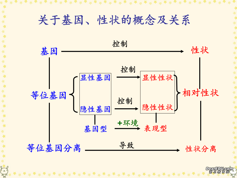 高考生物专题复习十遗传的基本规律一-人教