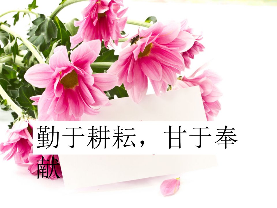 最美乡村教师师德故事ppt课件