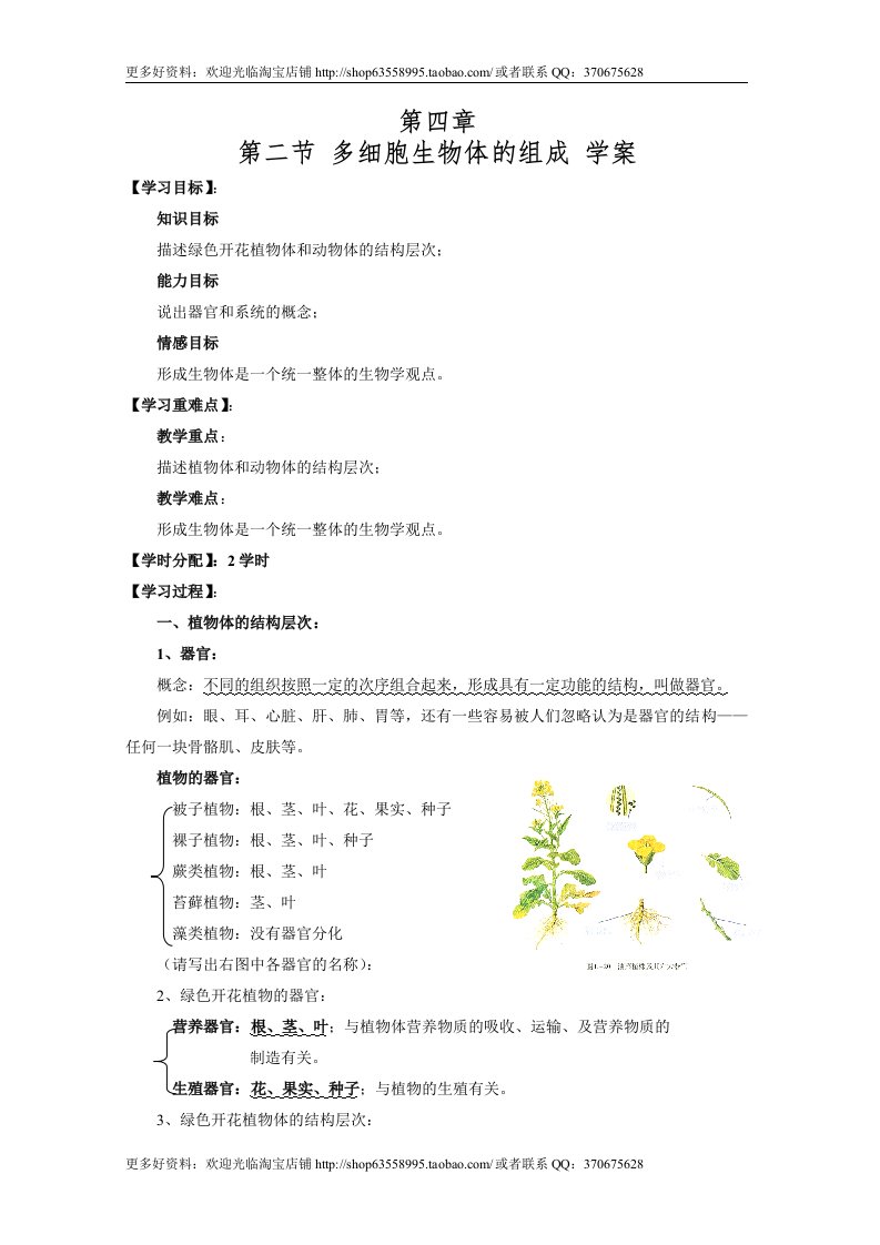 生物：4.2多细胞生物体的组成