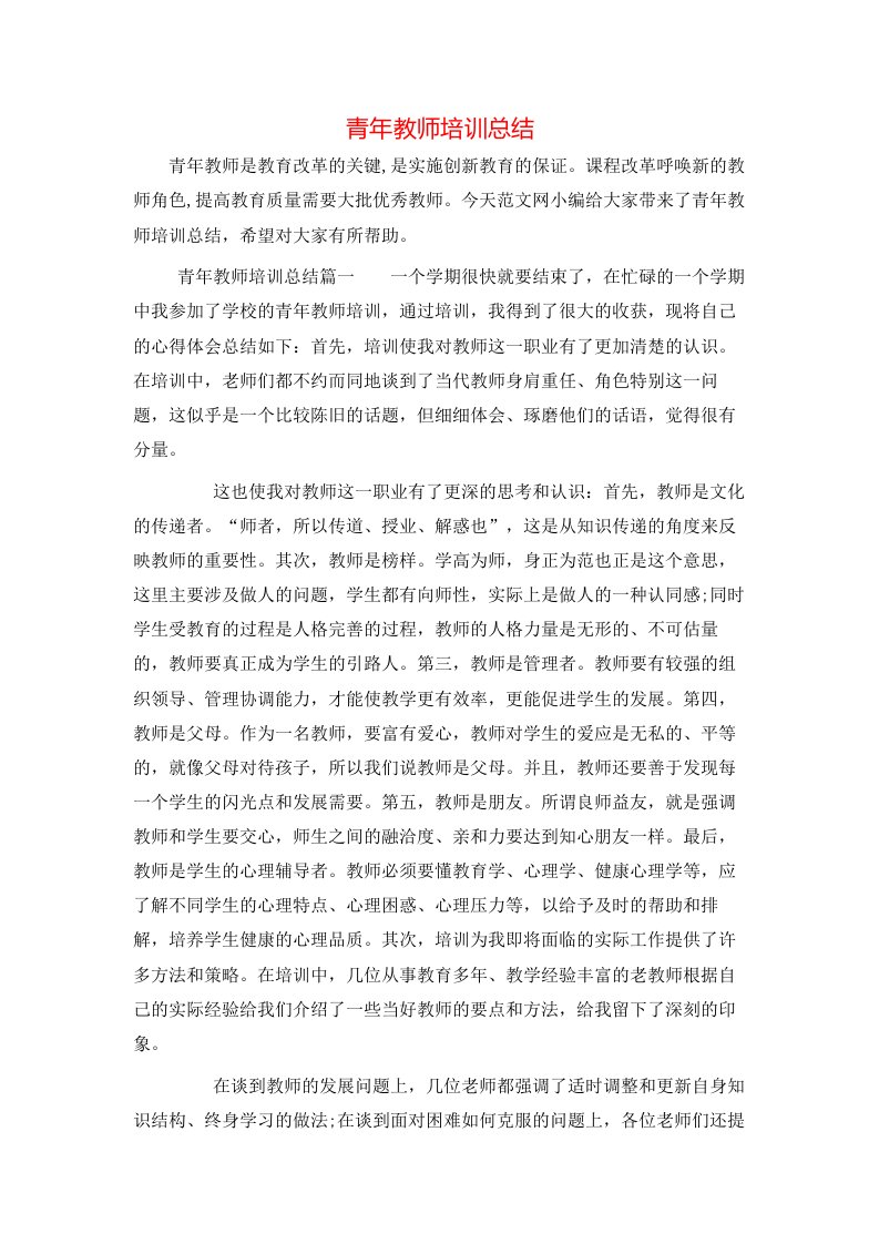 青年教师培训总结