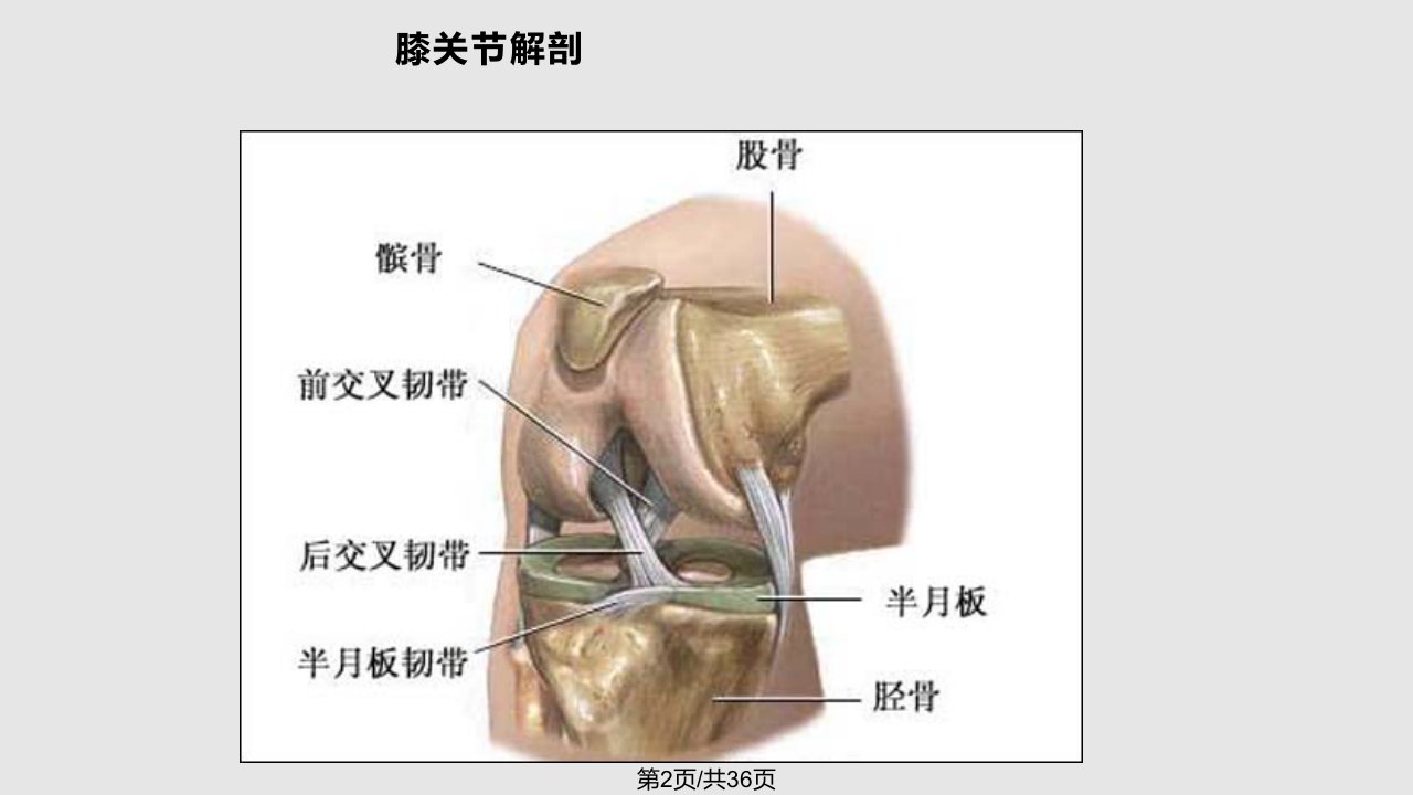 运动性膝关节损伤防护